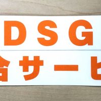 DSG総合ｻｰﾋﾞｽ様　シート切文字